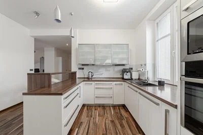 Keuken; keukenapparatuur, natuurlijk licht, moderne stijl