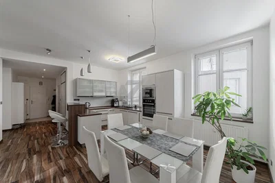 Keuken; keukenapparatuur, natuurlijk licht, moderne stijl