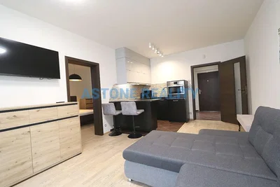 Dnevni boravak; pogled, prirodna svjetlost, moderan stil