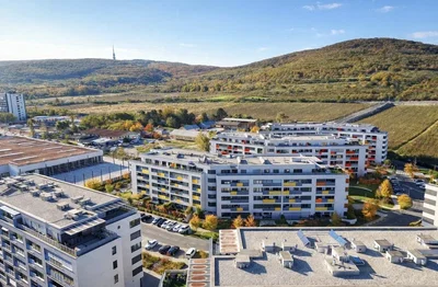 Haus und umgebung; blick