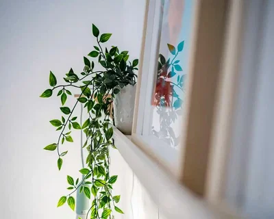 Wohnzimmer; tageslicht, blick