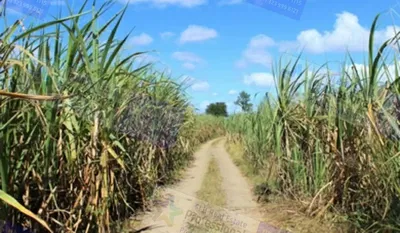 Σπίτι και περιβάλλον