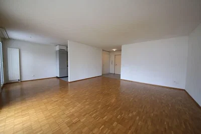 Salon; parquet, lumière naturelle