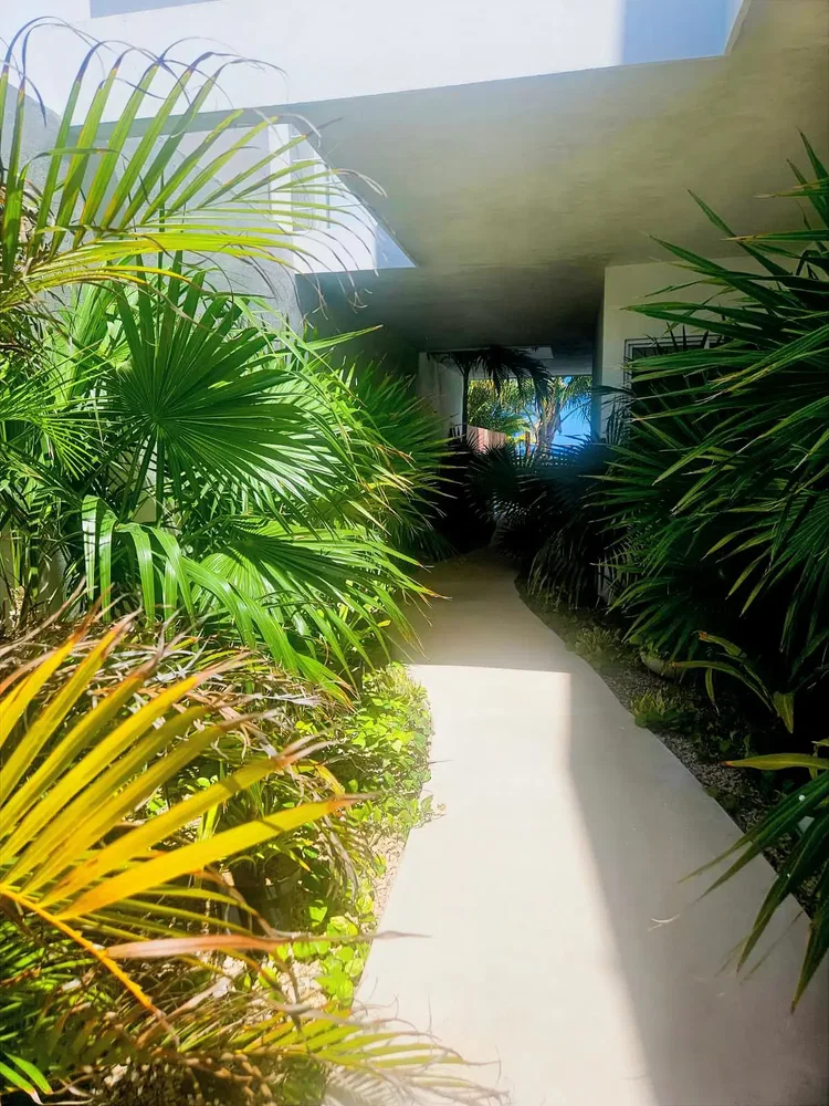 Ev ve çevresi; doğal ışık, manzara