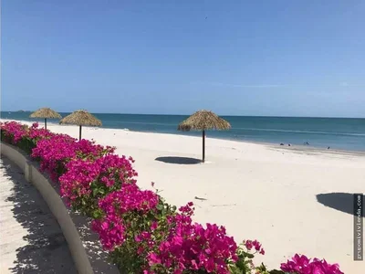أخرى; إطلالة, ضوء طبيعي