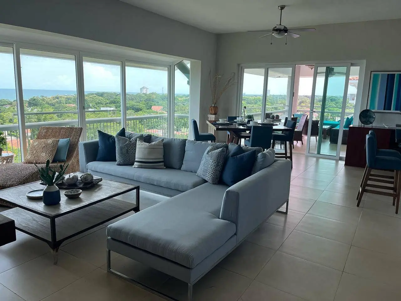 Living room; view, natural light