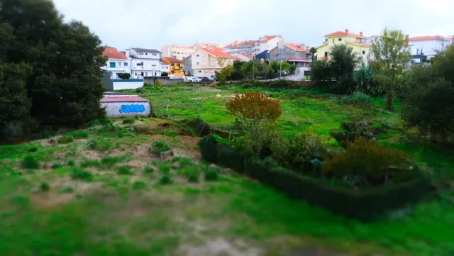 House and surroundings; view