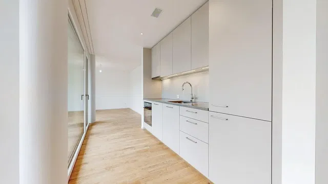 Kitchen; kitchen appliances, wood floor, natural light, modern style, renovated