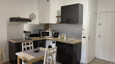 Кухиња; кухињски апарати, плочице, реновиран, природно светло