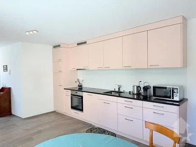 Keuken; keukenapparatuur, tegelvloer, gerenoveerd, natuurlijk licht, moderne stijl