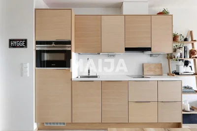 Kuchyně; kuchyňské spotřebiče, moderní styl, po rekonstrukci, přirozené světlo