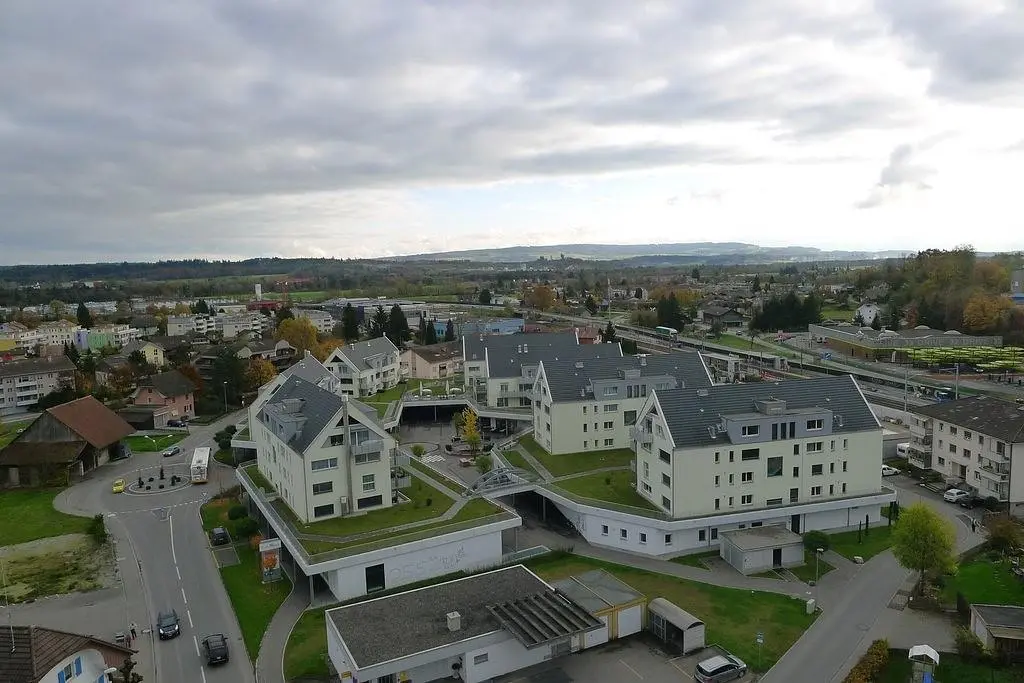 House and surroundings; view