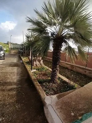 Haus und umgebung; blick