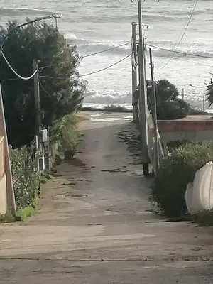 Haus und umgebung; blick