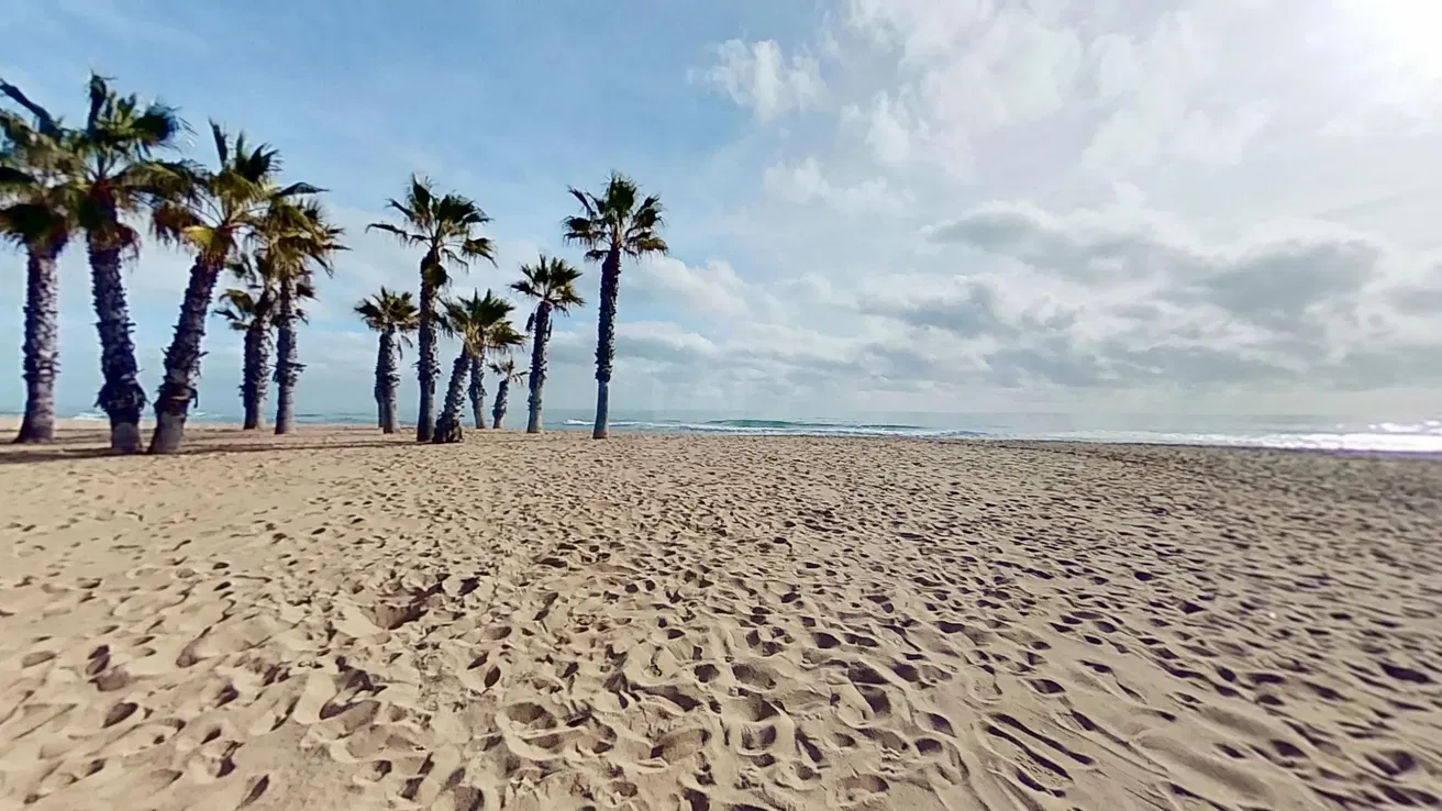 Diğer; manzara, doğal ışık