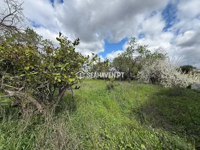 Dům a okolí; přirozené světlo, výhled