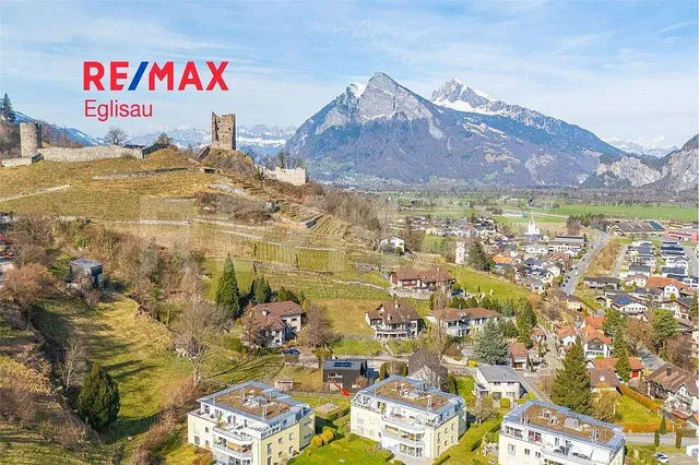 House and surroundings; view