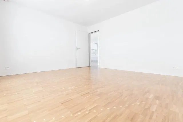 Otro; suelo de madera, luz natural