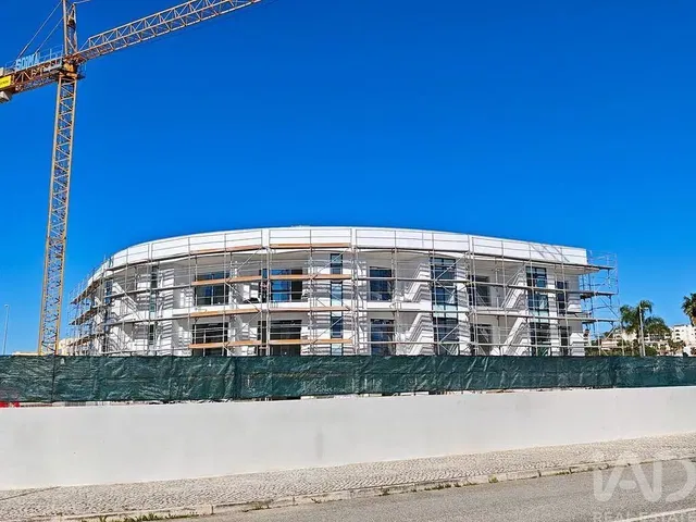 House and surroundings