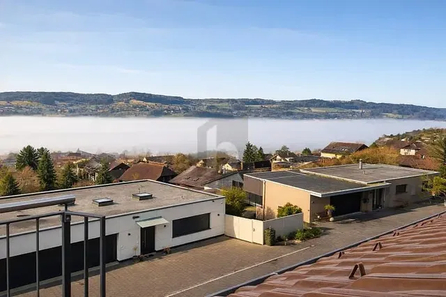 House and surroundings; view