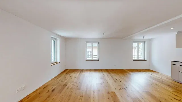 Living room; wood floor, natural light