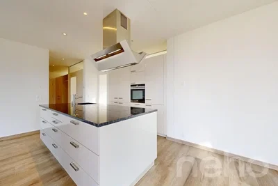 Mutfak; mutfak aletleri, tadilatlı, doğal ışık, modern stil