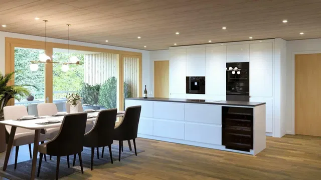 Kitchen; kitchen appliances, natural light, modern style, wood floor