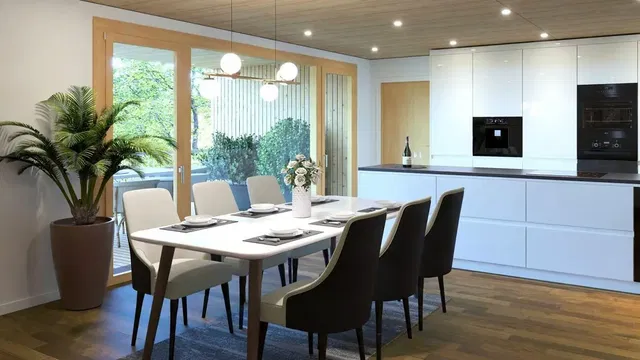 Kitchen; kitchen appliances, natural light, modern style, wood floor