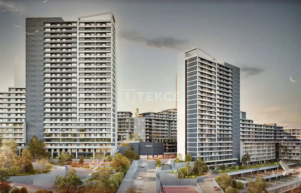 المنزل والمناطق المحيطة