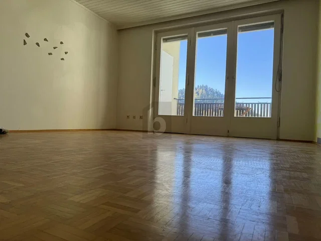 Soggiorno; vista, pavimento in legno, luce naturale