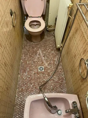 Toalet; potrebna renovacija, pločice