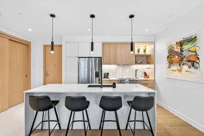 Cucina; elettrodomestici, stile moderno, ristrutturato, luce naturale