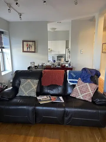 Living room; wood floor, natural light