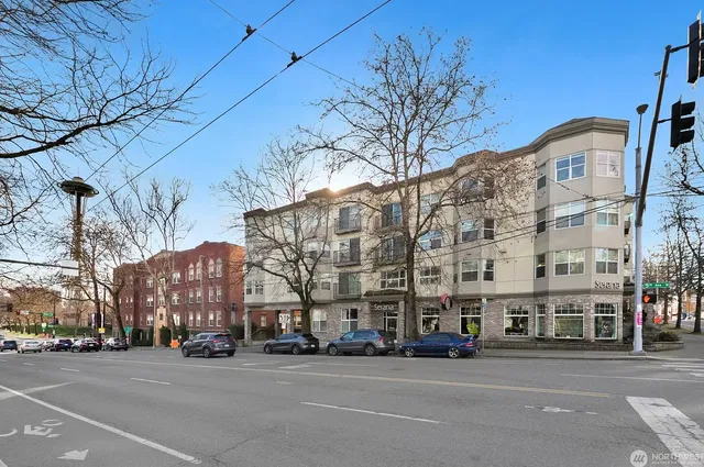 House and surroundings; view