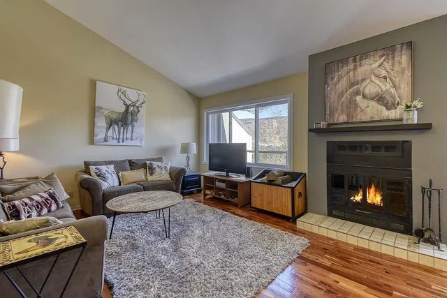 Living room; fireplace, natural light