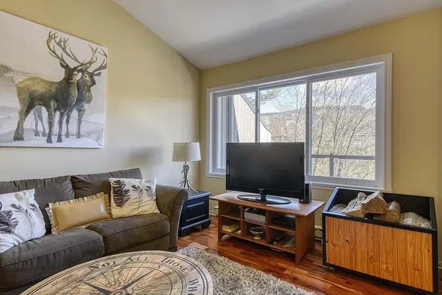 Σαλόνι; ξύλινο πάτωμα, φυσικό φως, ρουστίκ στυλ, τζάκι