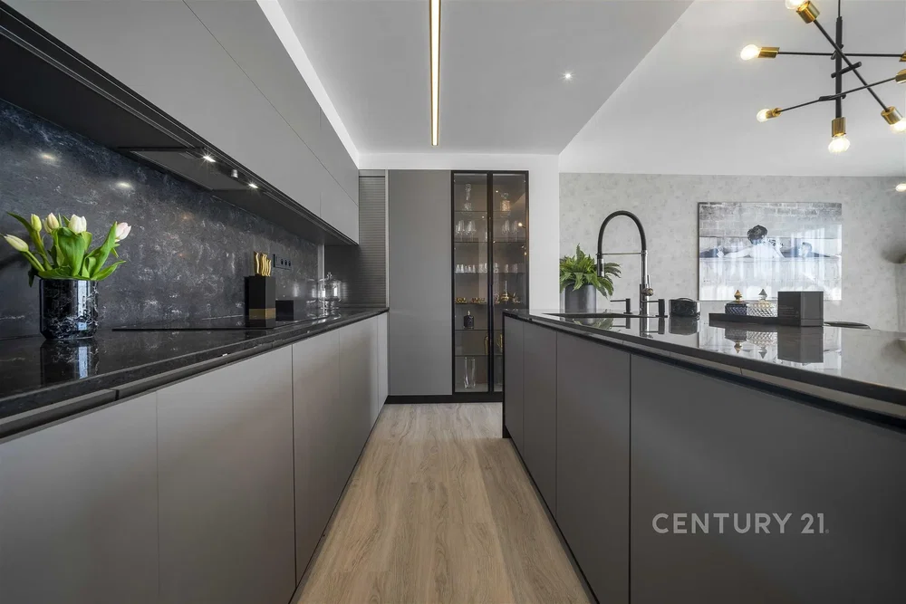 Kuchyně; kuchyňské spotřebiče, moderní styl, po rekonstrukci, přirozené světlo