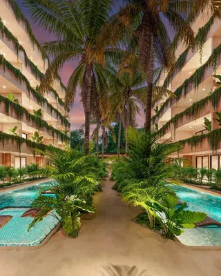 Maison et environs; vue, lumière naturelle