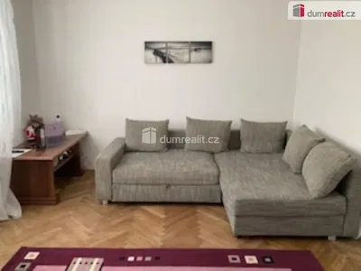Wohnzimmer; holzboden, tageslicht