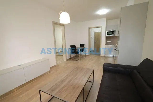 Salon; style moderne, parquet, lumière naturelle