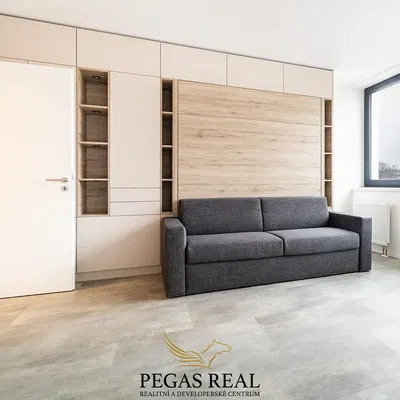 Salon; style moderne, parquet