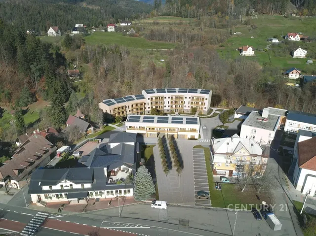 House and surroundings; view