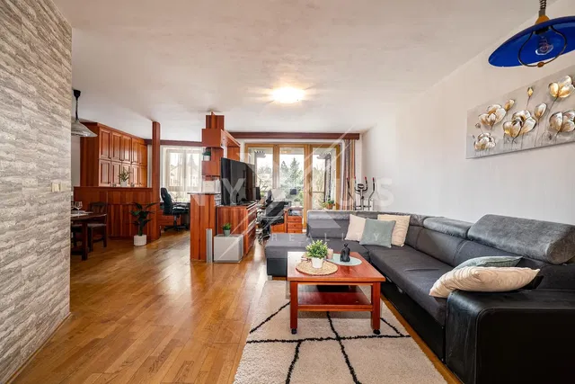 Salon; parquet, lumière naturelle, style moderne
