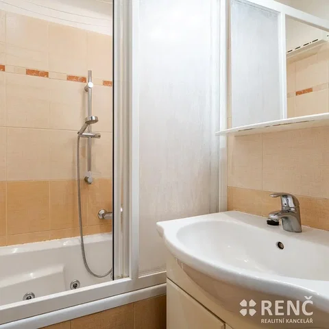 Banyo; fayans zemin, tadilatlı, doğal ışık, modern stil