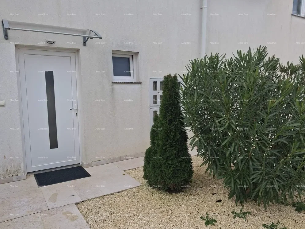 Dům a okolí; výhled