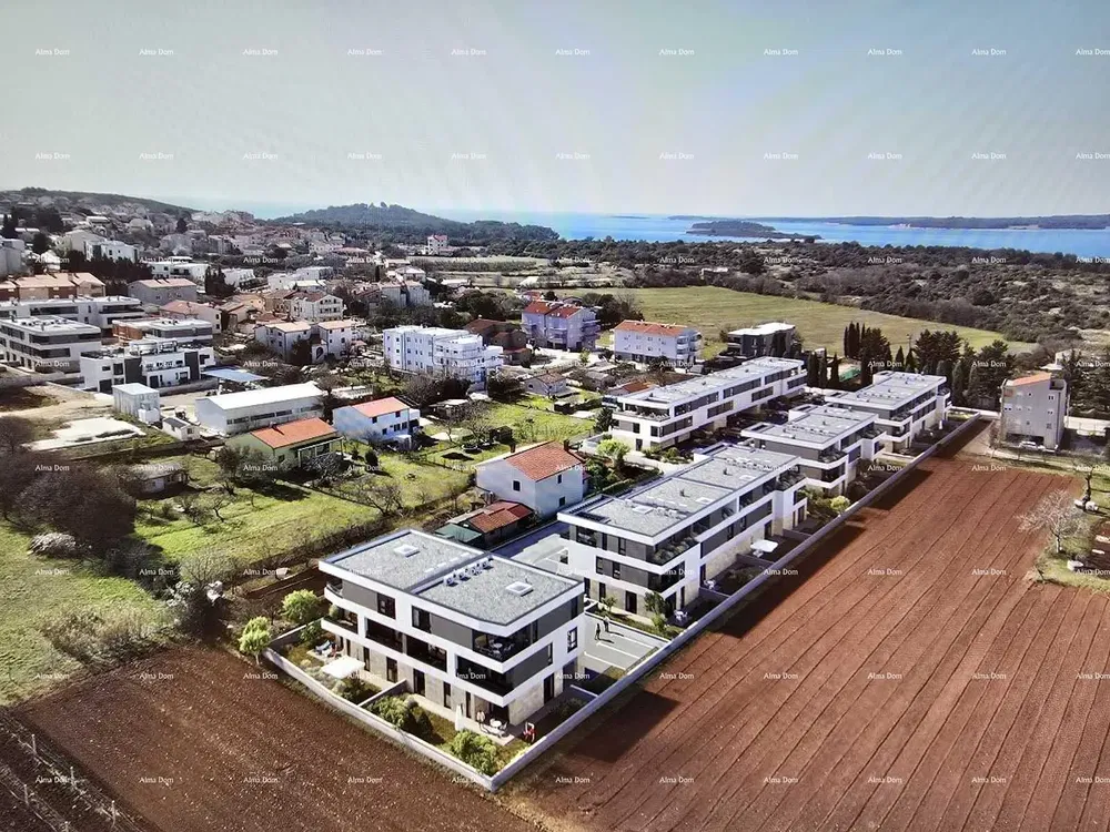 Dům a okolí; výhled