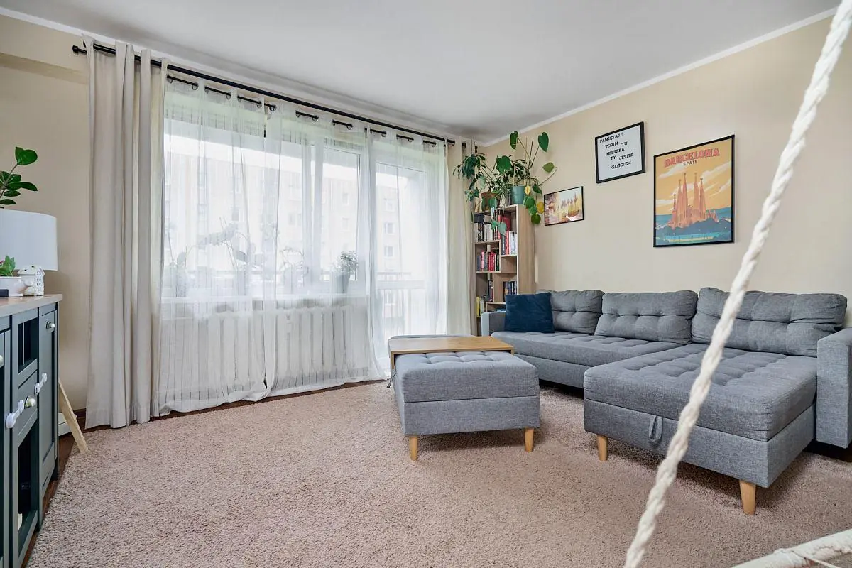 Living room; natural light, modern style
