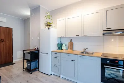 Cuisine; électroménager, lumière naturelle, style moderne