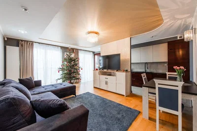 غرفة معيشة; ضوء طبيعي, أسلوب عصري