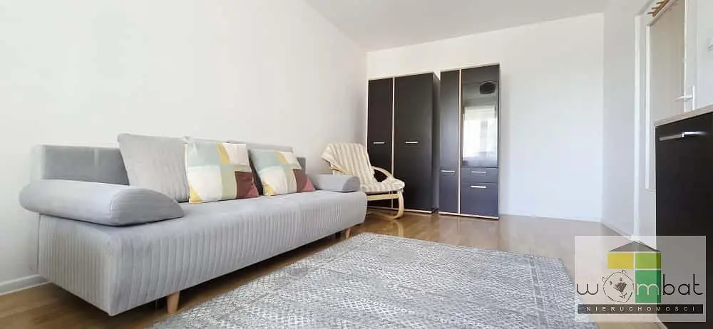 Дневна соба; природно светло, модерни стил